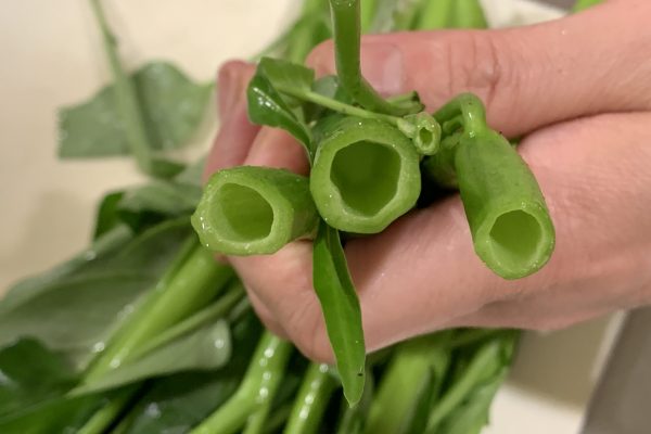 空芯菜は、このように茎が空洞になっている野菜で、食感がシャキシャキしているのが特徴です。